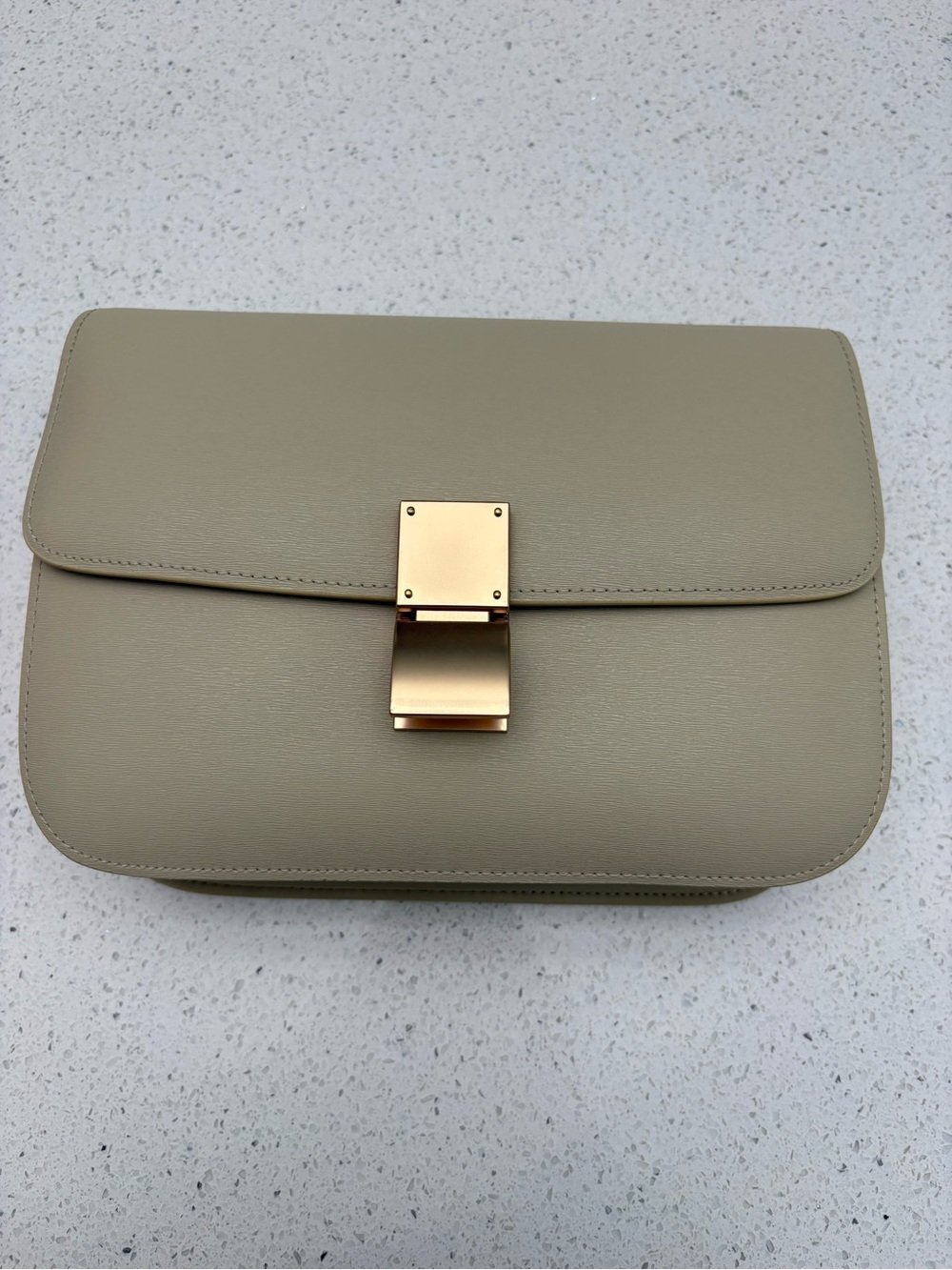 Classic Structured Leather Crossbody Bag in Beige with Gold Hardware